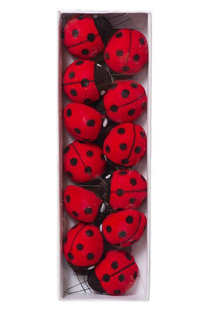 2" Ladybug Assort Red/black Pkg/12