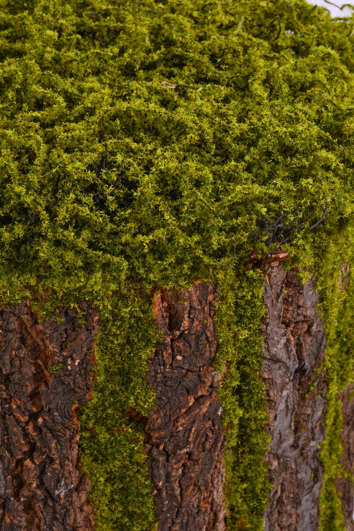 12" X 12" Bark Rack W/Moss Green