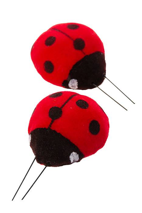 2" Ladybug Assort Red/black Pkg/12