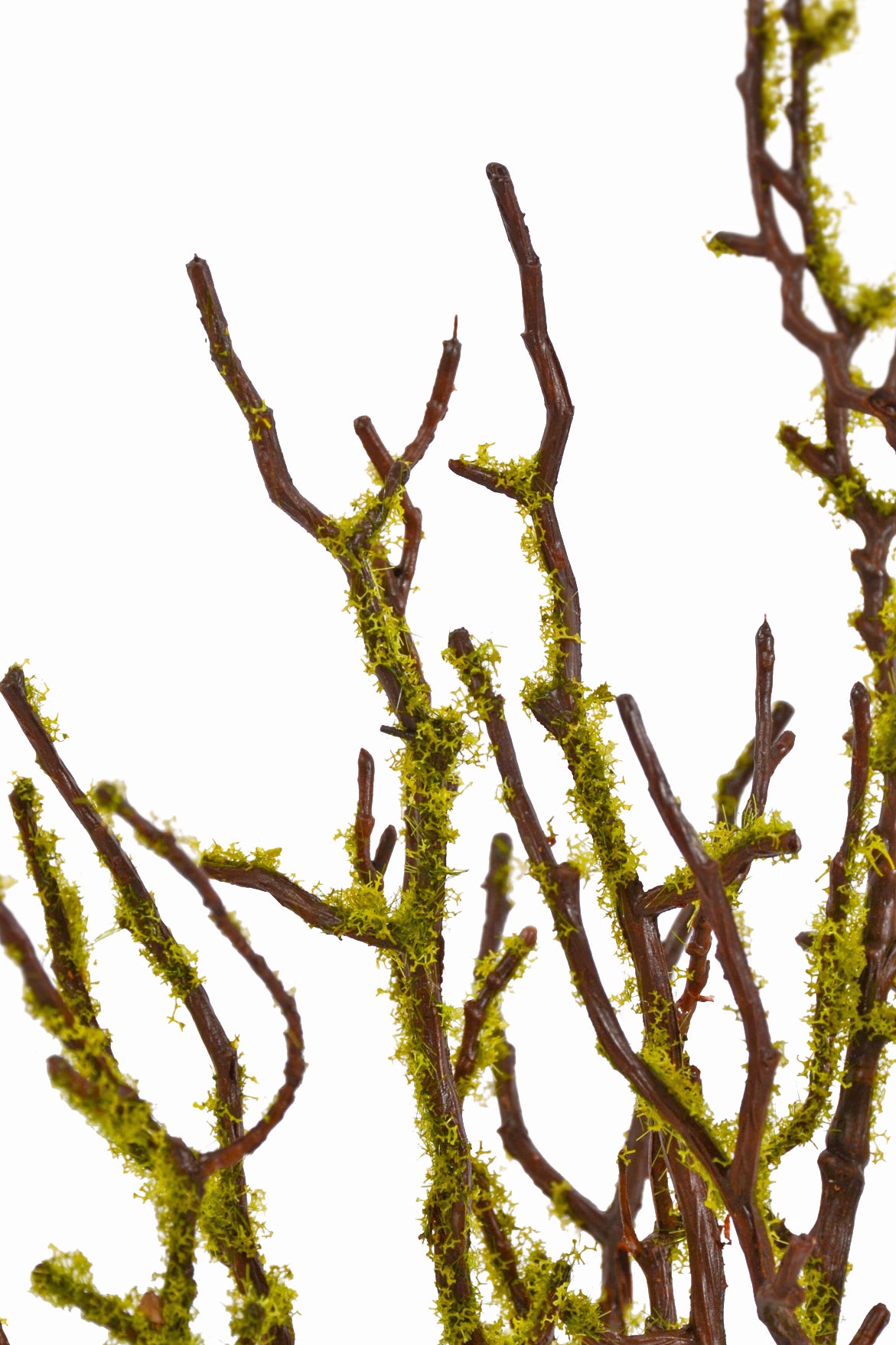 18" Twig Branch W/Moss Green