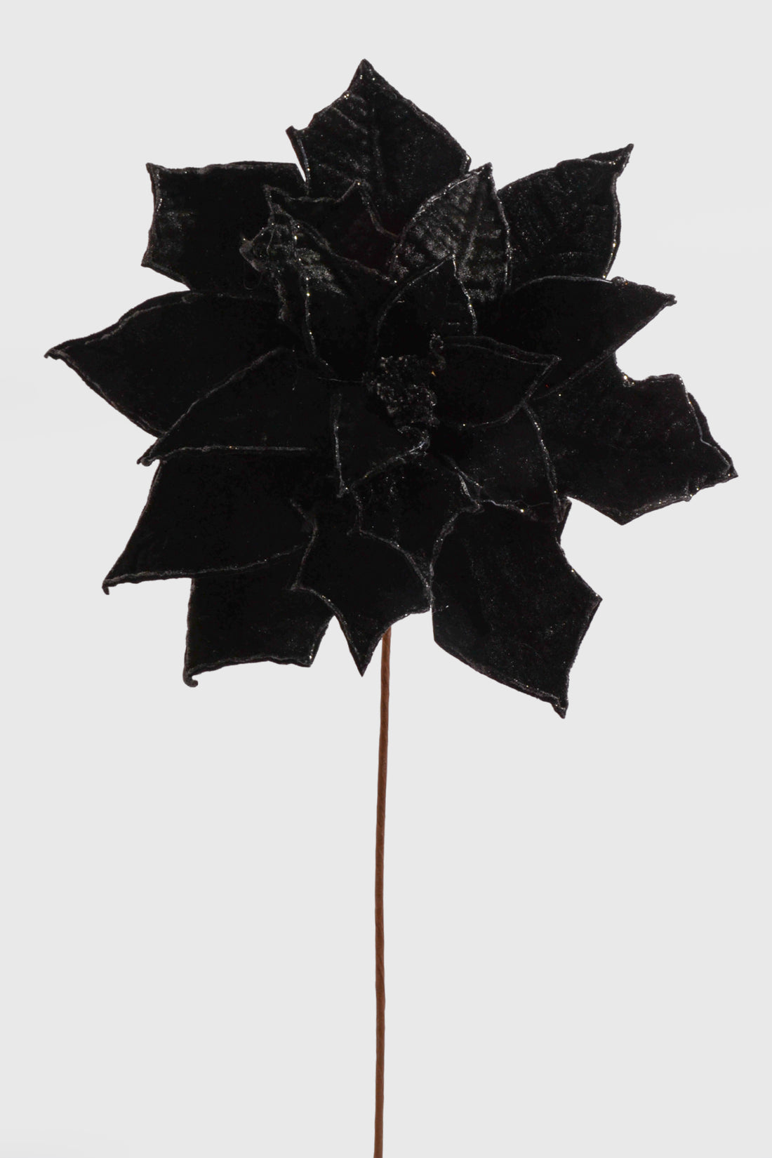25" X 14" Poinsettia Stem Black