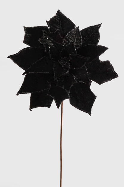 25" X 14" Poinsettia Stem Black