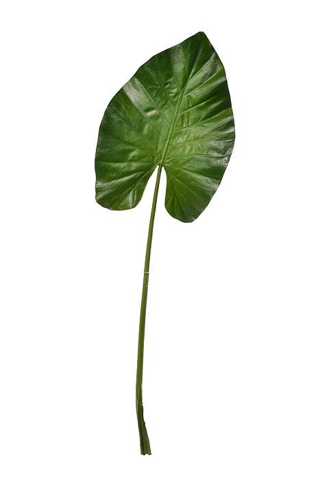 31.5" Elephant Leaf Spray Green