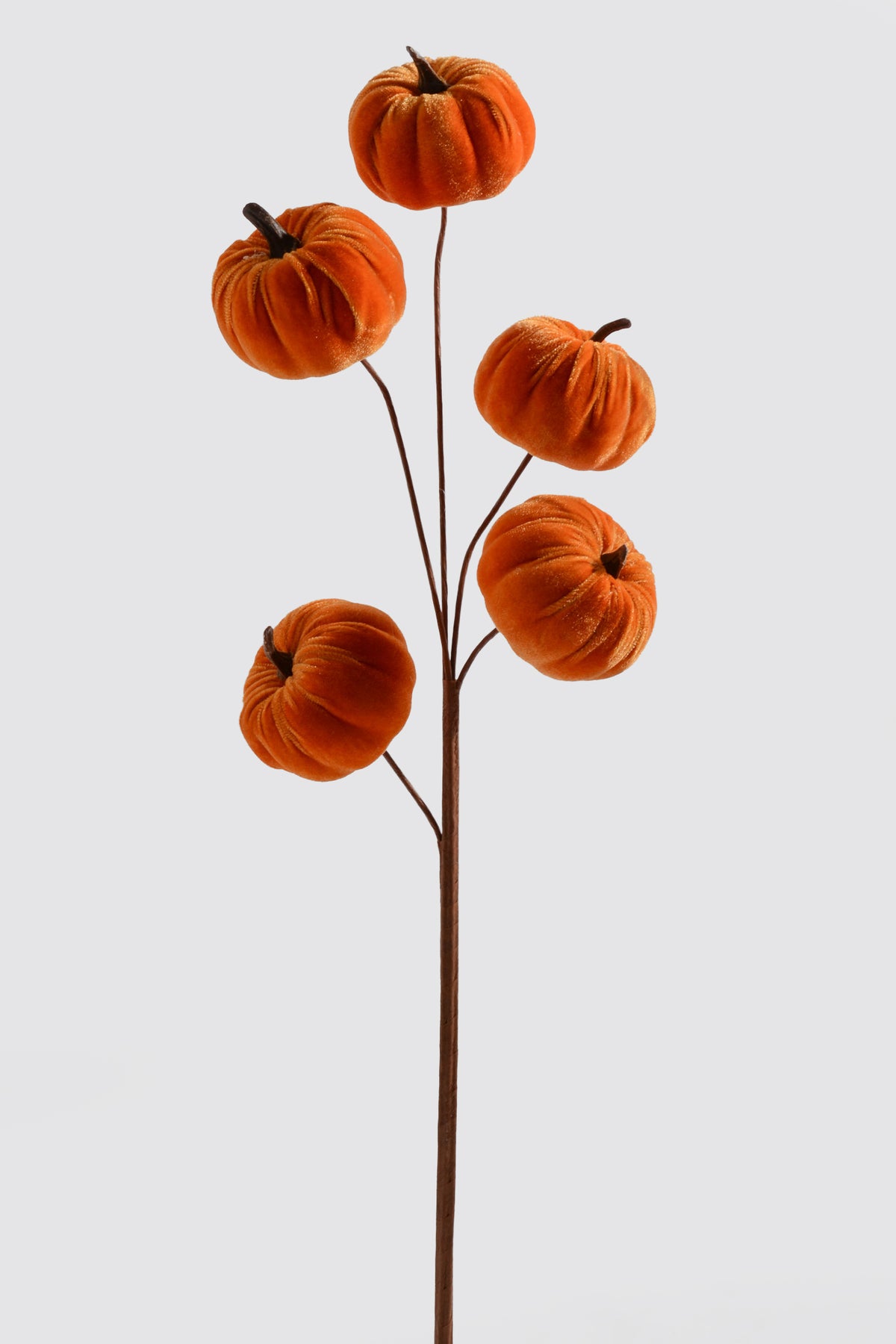 25" Pumpkin Spray Orange