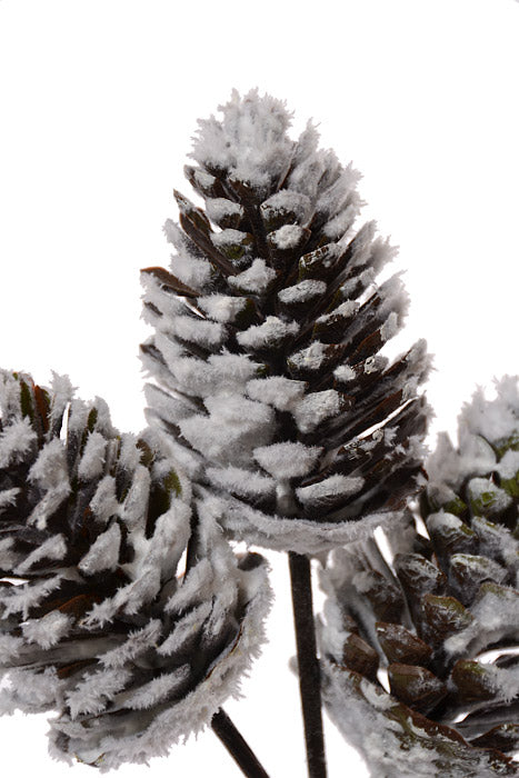 32" Snowed Pine Cone Spray Brown/White
