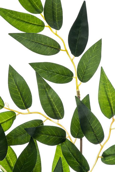 27" Smylax Spray Pkg/12