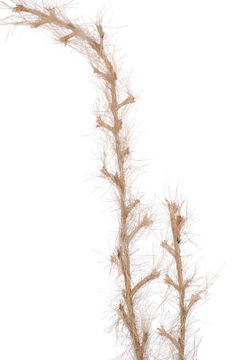 18" Reed Grass Spray Beige