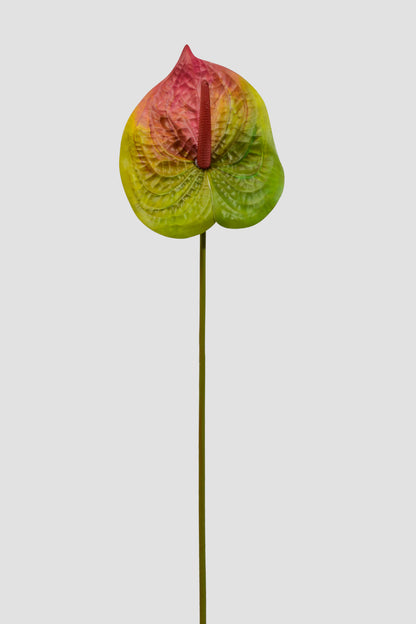 31.5" Artificial Anthurium Spray Green/Red