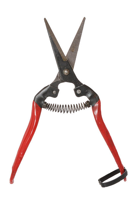8" Fruit Pruner Red/Black