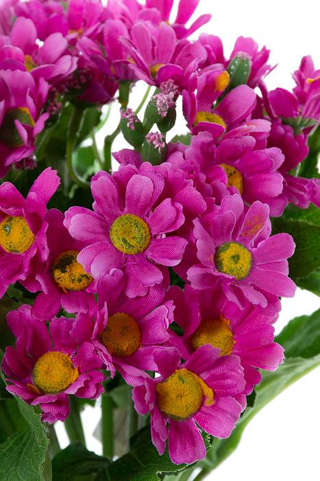 10" Silk Chrysanthemum Bush Fuchsia