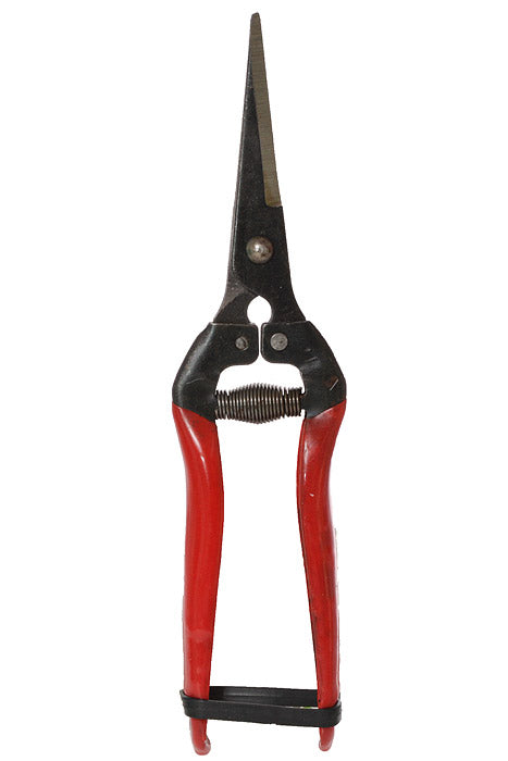 8" Fruit Pruner Red/Black