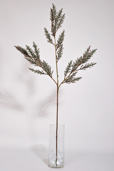 36" Berry Spray Brown/Light Blue