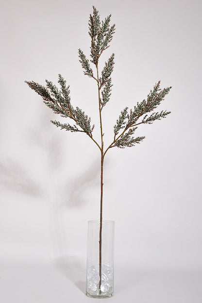 36" Berry Spray Brown/Light Blue