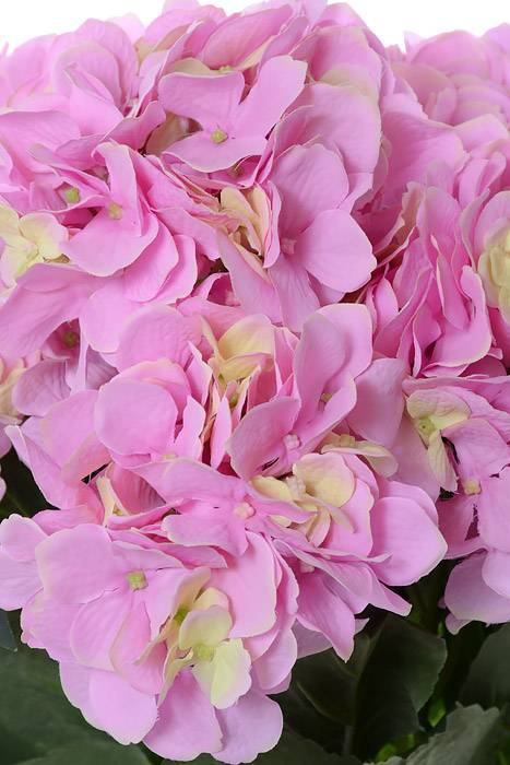 22" Silk Hydrangea Bush Pink