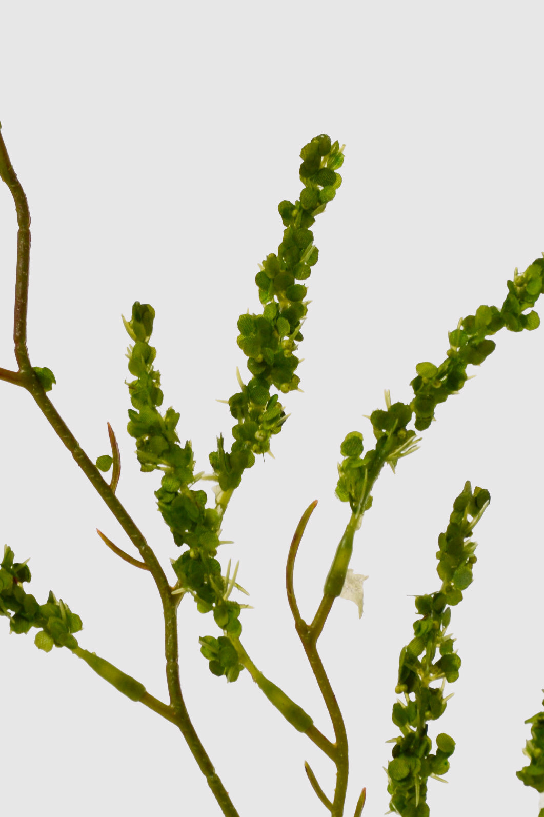 41.5" Artificial Spirea Spray Green