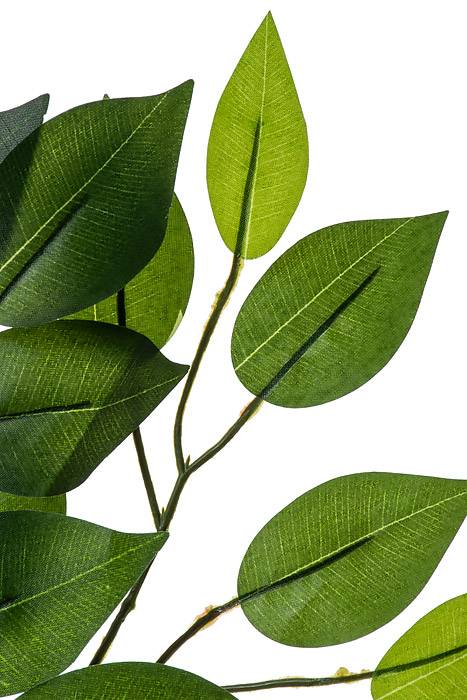 23" Ficus Spray Green Pkg/12