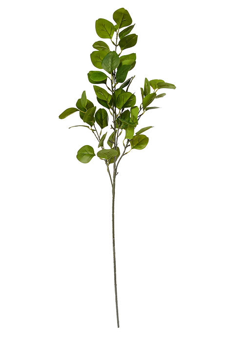 35.5" Eucalyptus Spray Green