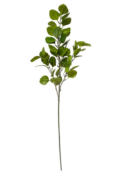 35.5" Eucalyptus Spray Green