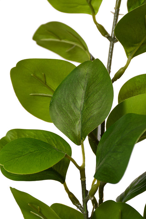 35.5" Eucalyptus Spray Green