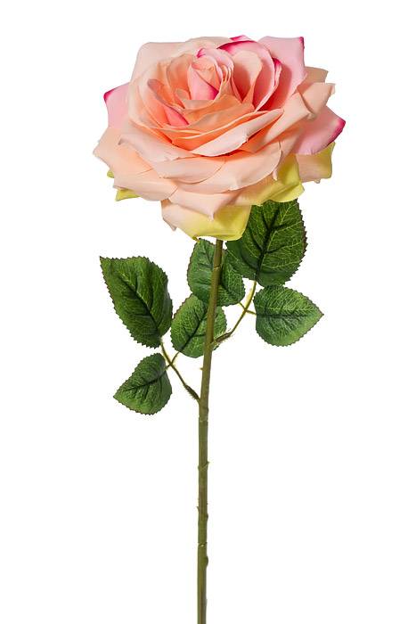 20" Open Rose Pink/green