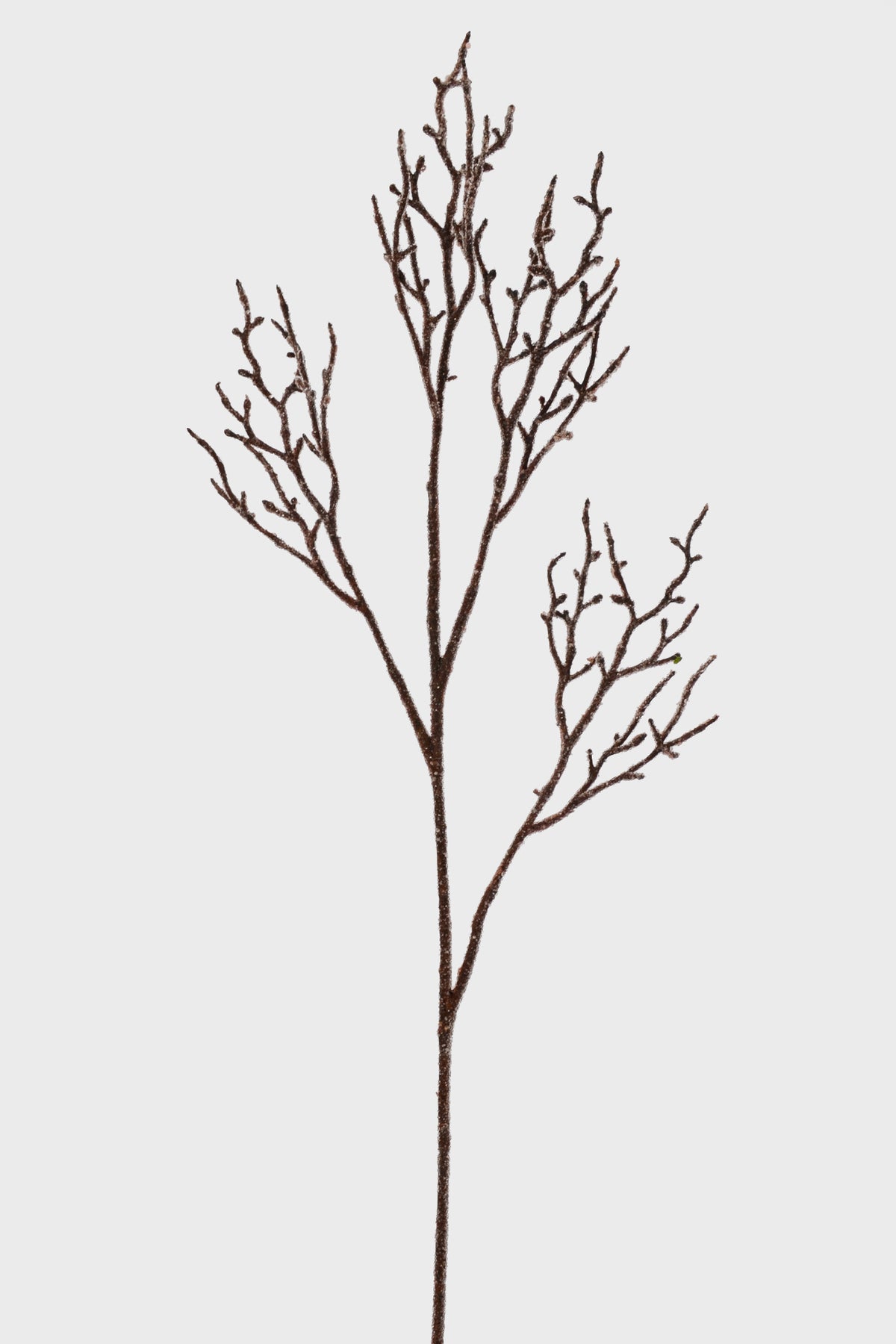 38" Iced Twig Spray Natural