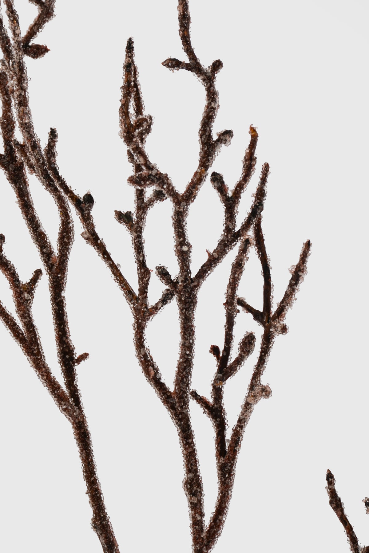 38" Iced Twig Spray Natural