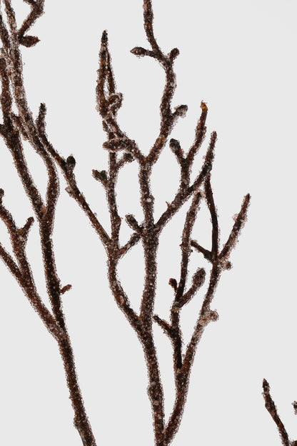 38" Iced Twig Spray Natural