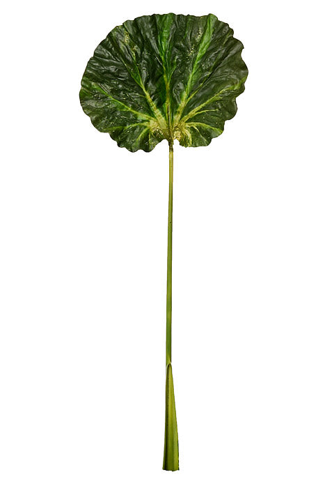 52" Lotus Leaf Stem Green