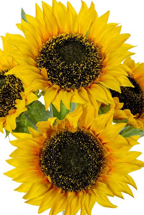 11" Silk Sunflower Bush Yellow x 4