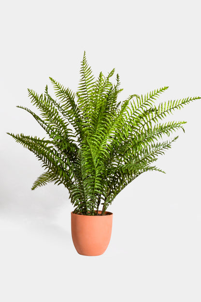 33" Real Touch Ruffle Fern In Pot Green
