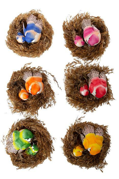 2.5 &amp; 1.25" Bird W/nest Assort Bx12