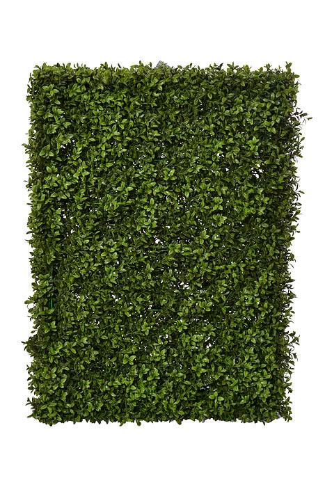 23.5 x 8 x 32"  UV Boxwood Hedge Green