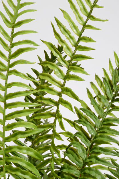 33" Real Touch Ruffle Fern In Pot Green