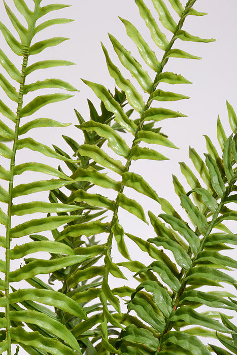 33" Real Touch Ruffle Fern In Pot Green