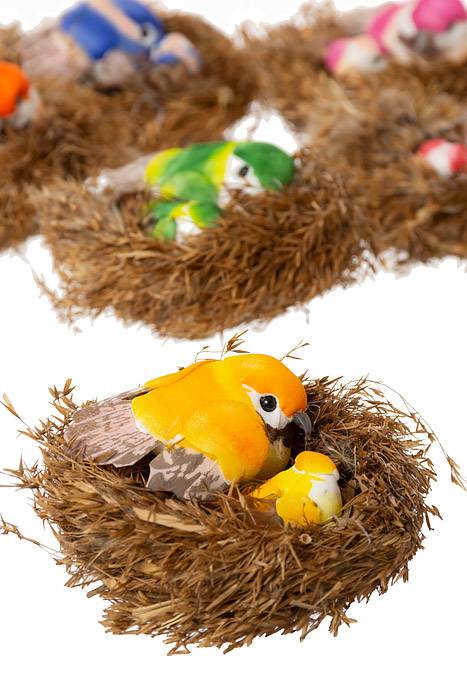 2.5 &amp; 1.25" Bird W/nest Assort Bx12