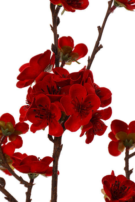 18" Velvet Plum Blossom Spray Red