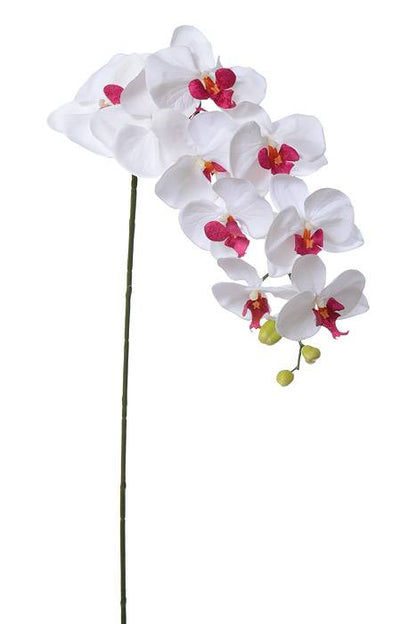 42.5" Orchid Spray White/burgundy