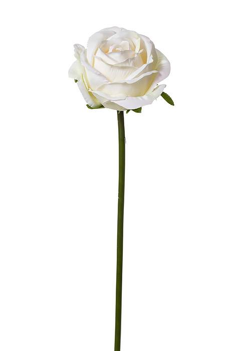 19" Rose Spray Cream/blush