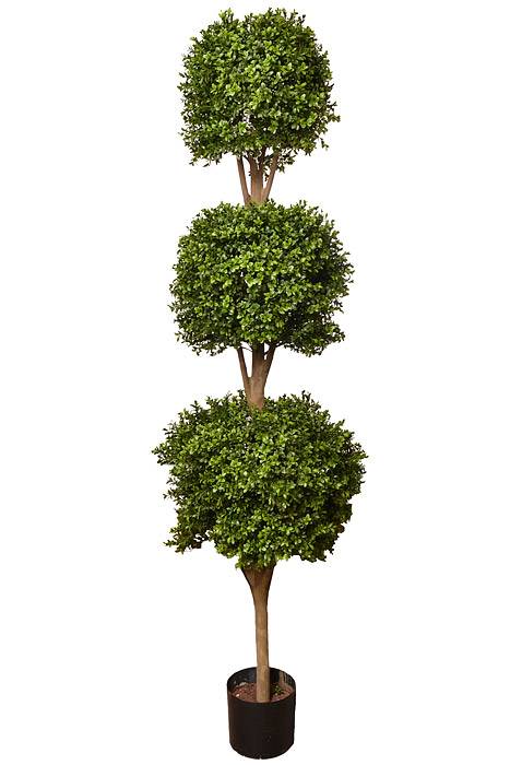 6ft Tri Ball Boxwood Top w/Pot Green/Two Tone