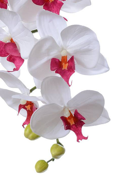 42.5" Orchid Spray White/burgundy