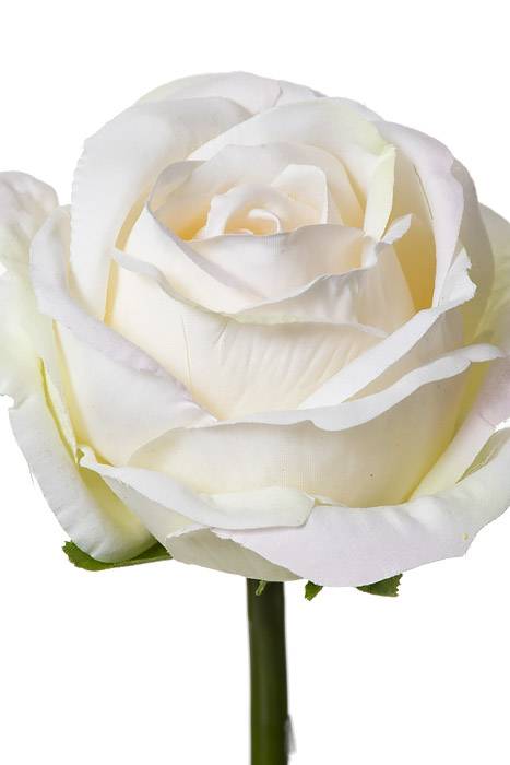 19" Rose Spray Cream/blush