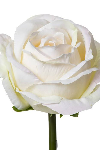 19" Rose Spray Cream/blush