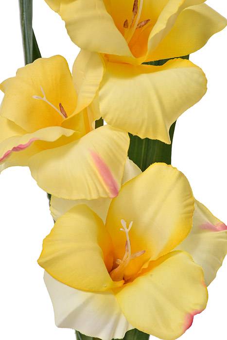 33" Silk Gladiolus Spray Yellow