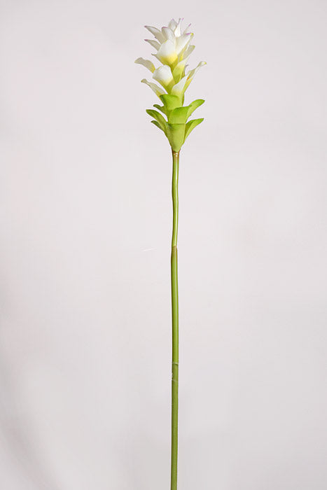 29.5" Artificial Ginger Stem White