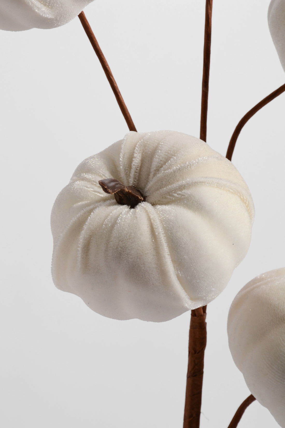 25" Pumpkin Spray Cream