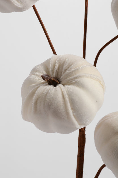 25" Pumpkin Spray Cream
