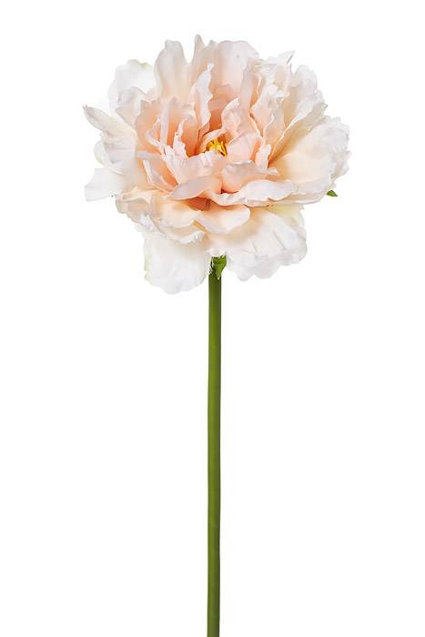 19" Silk Peony Spray Soft Pink