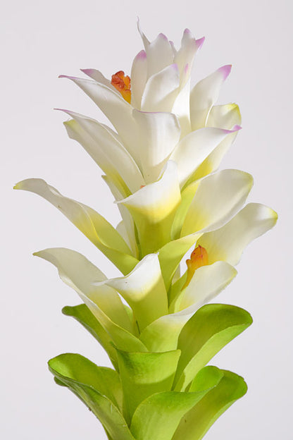 29.5" Artificial Ginger Stem White
