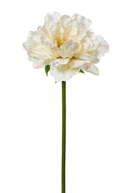 19" Silk Peony Spray Cream/blush