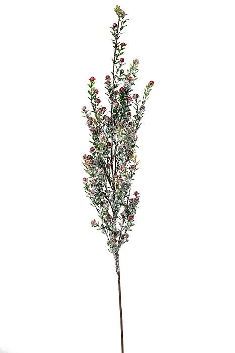 49" Wp Frost Mini Boxwood Leaf Berry Spray Natural Frosted